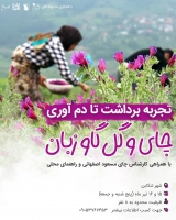 دوره  آموزشی چای و برداشت گل گاو زبان با هدایت :مسعود اصفهانی