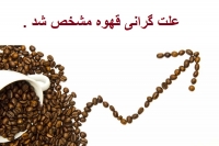 علت گرانی قیمت قهوه چیست ؟