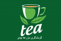 گردشگری مزرعه چای