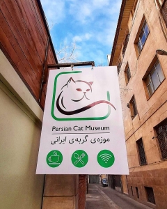 کافه موزه گربه (8)