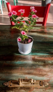 alittlebitofredcafe cafeyab 14