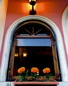 cafe blur cafeyab 22