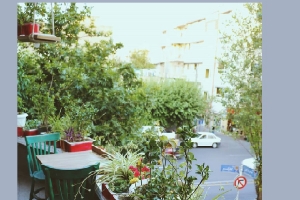 movazicafe 4