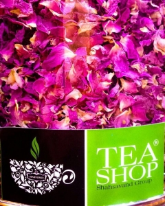 teashop new 6