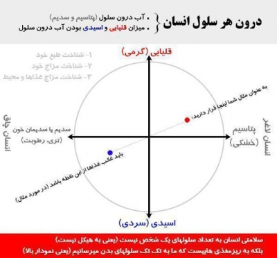 بدن مزاج