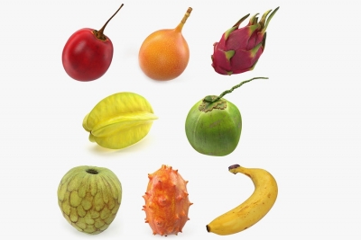 میوه های گرمسیری ایران