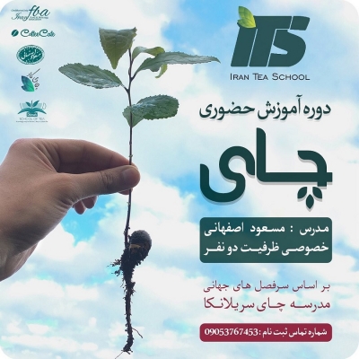 دوره ی آموزش حضوری چای