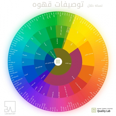 چرخه طعمی قهوه به زبان فارسی  حلال  بهنام عبدی