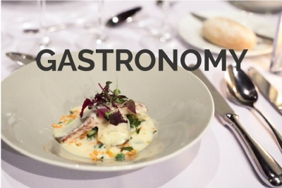 گاسترونومی چیست ؟