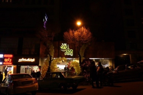 سالاد دیلی۵۲۱