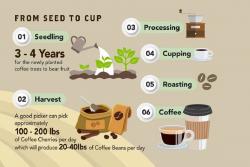 انیمیشن قهوه از گیاه تا انواع سرو